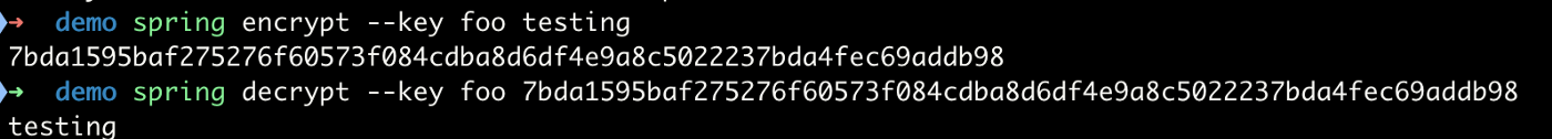 Encrypting/Decrypting properties by passing an encryption key to use